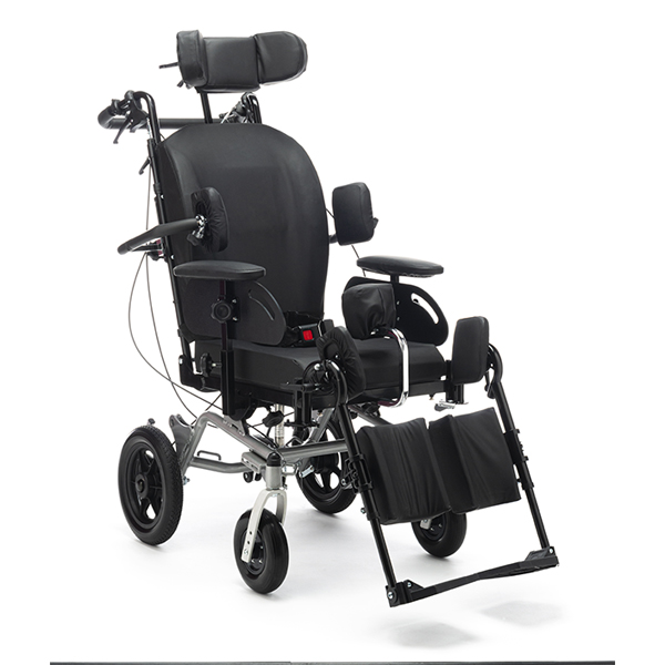 CARROZZINA POLIFUNZIONALE CON RUOTE DA TRANSITO G101R12